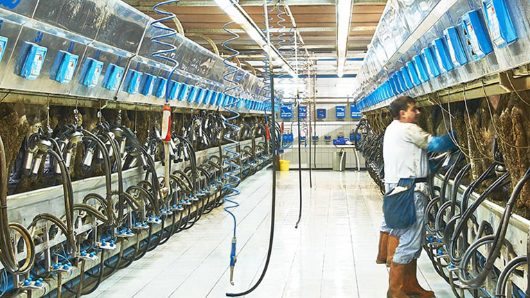 Panagro Meat And Dairy Products Integrated Plant