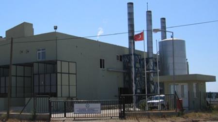 Global Energy Cogeneration Plant